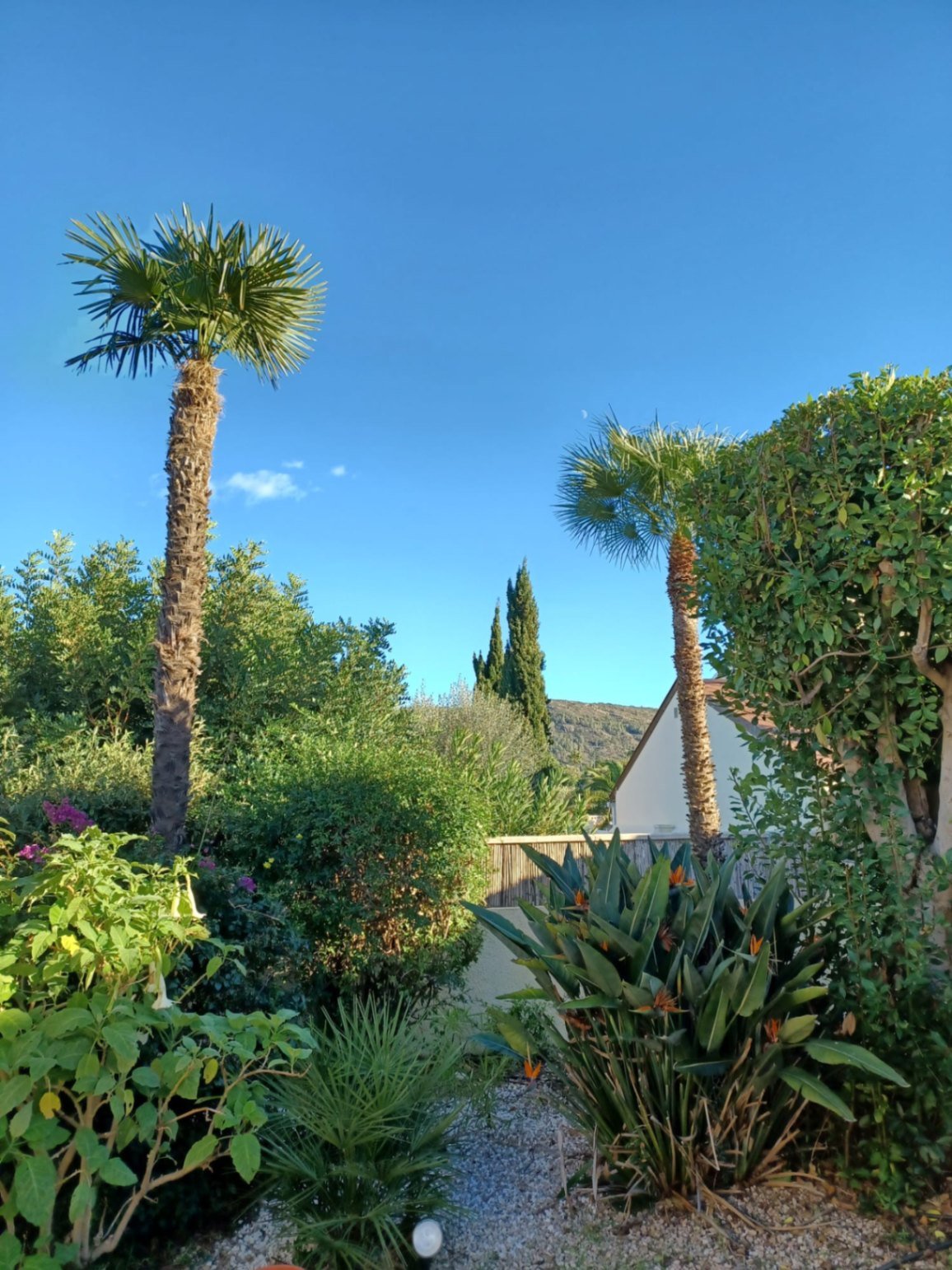 Villa mit 3 Schlafzimmern, 2 Bädern und Privatpool ganz in der Nähe der Ortschaft Orba