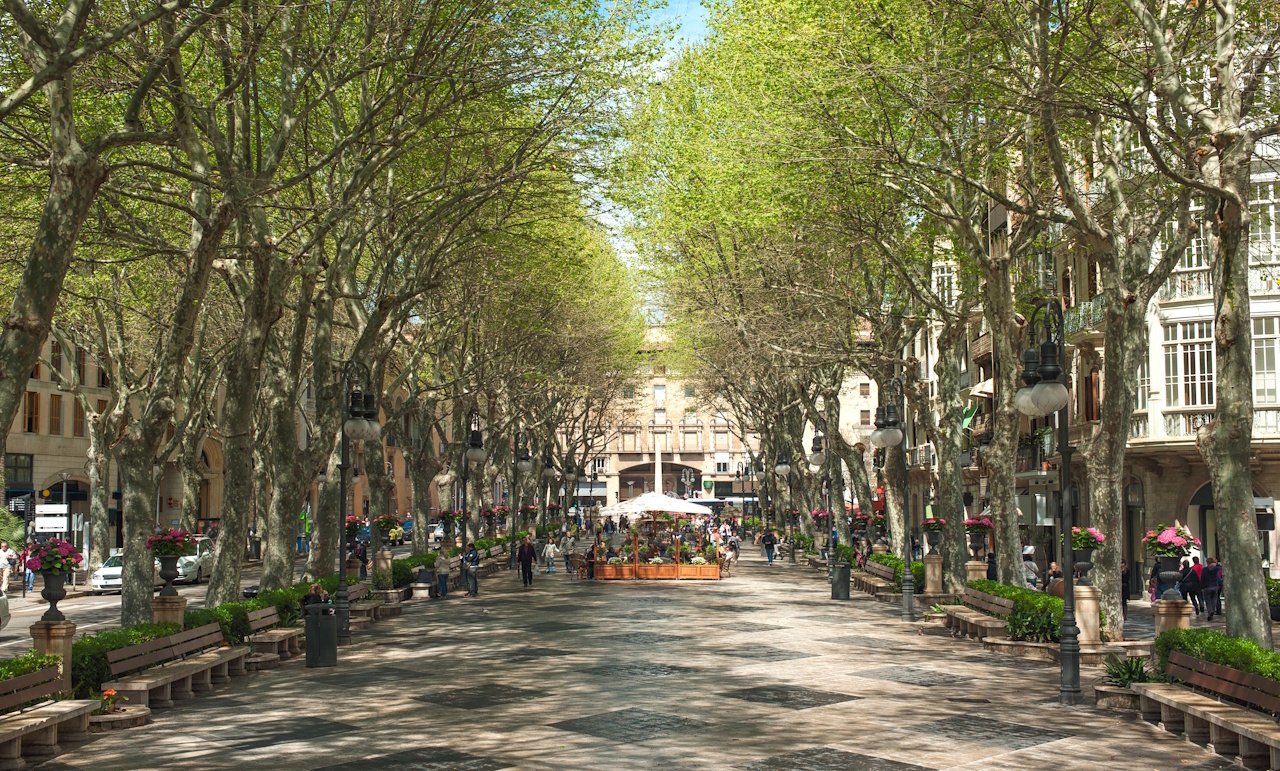 Appartements mit 3 Schlafzimmern, 2 Bädern, Klimaanlage und optionalem Tiefgaragenstellplatz im Zentrum von Palma de Mallorca