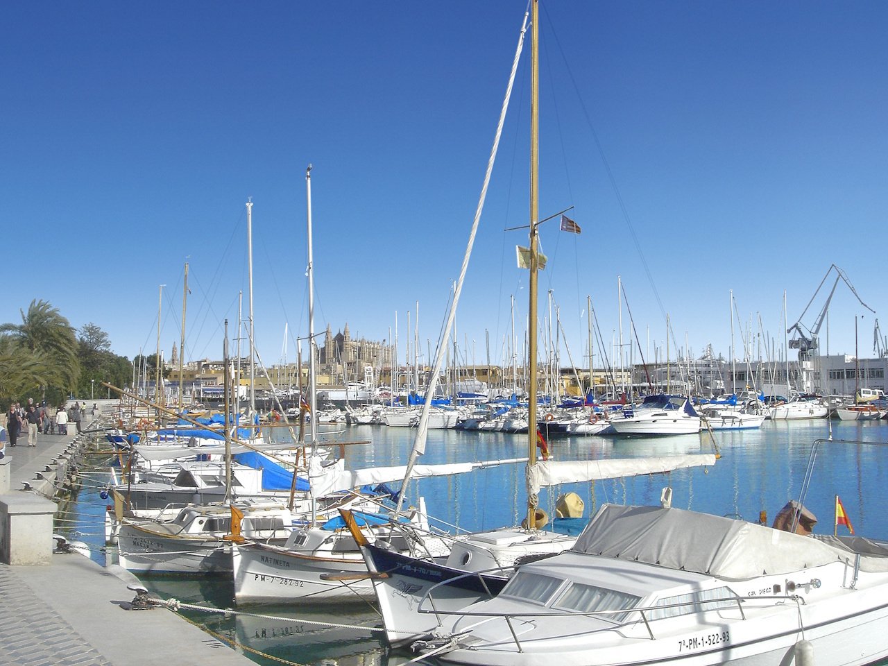 Appartements mit 3 Schlafzimmern, 2 Bädern, Klimaanlage und optionalem Tiefgaragenstellplatz im Zentrum von Palma de Mallorca