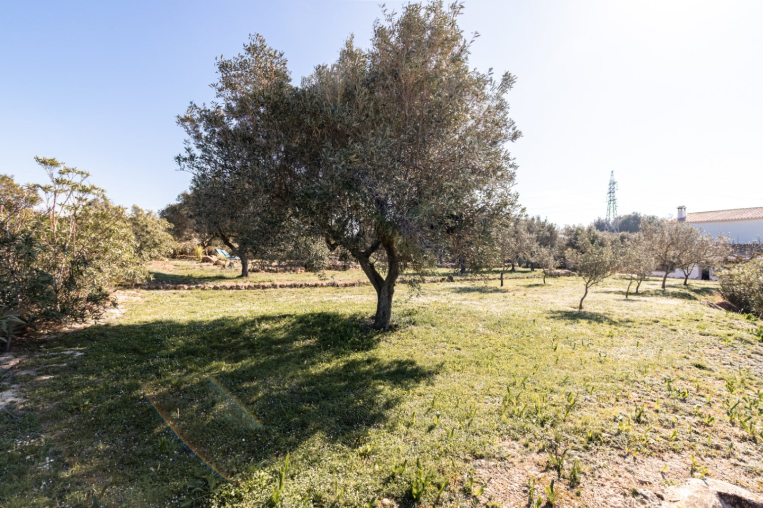 Charming 3 bedroom country house with private pool and marvellous views