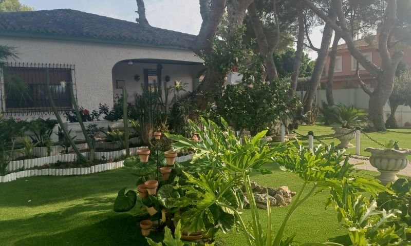Spectacular Mediterranean-style villa with 3 bedrooms, 3 bathrooms and a private pool in Dehesa de Campoamor, just 950 m from the beach