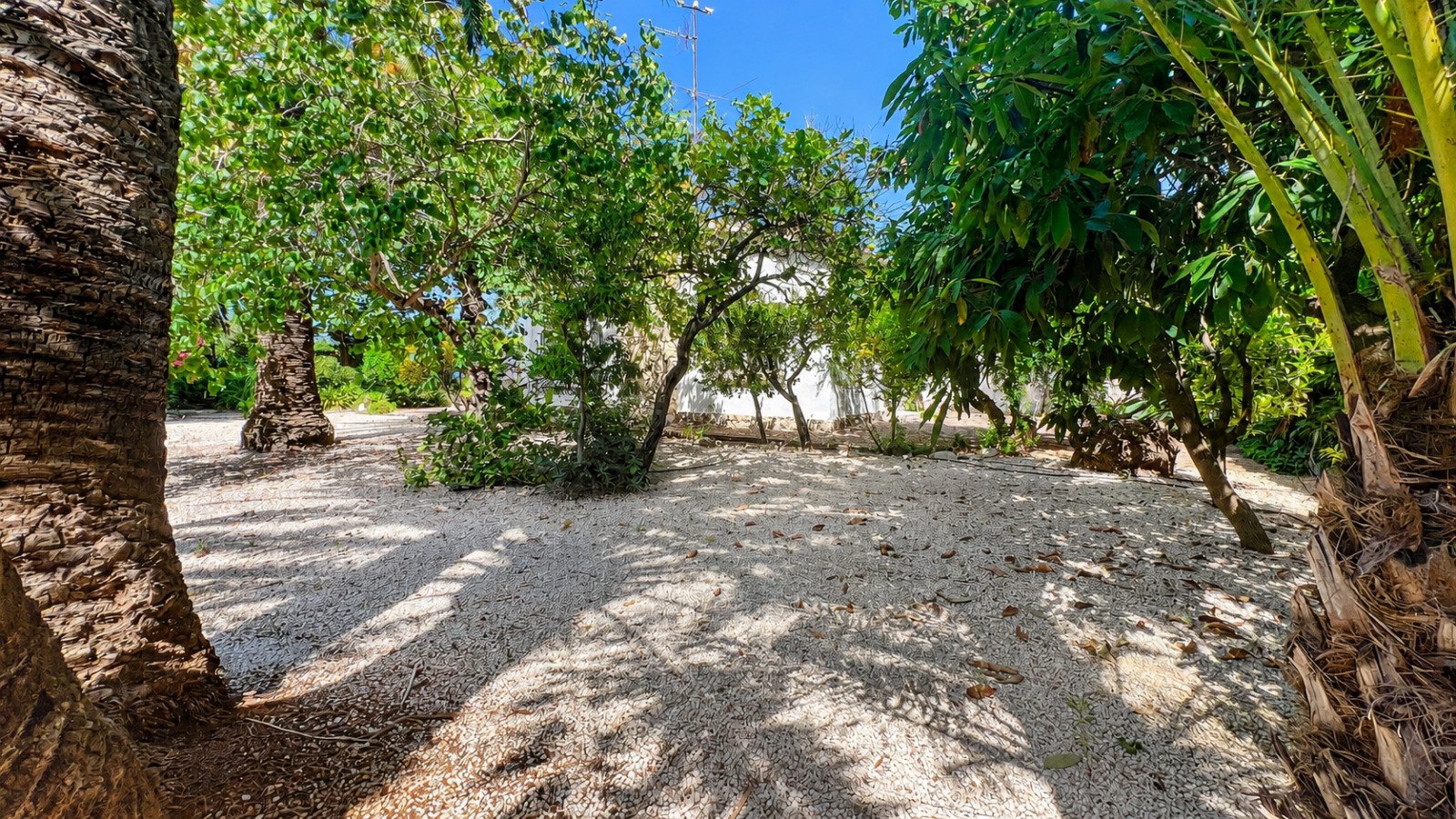Cosy 2-bedroom finca near the beach with a lovely garden