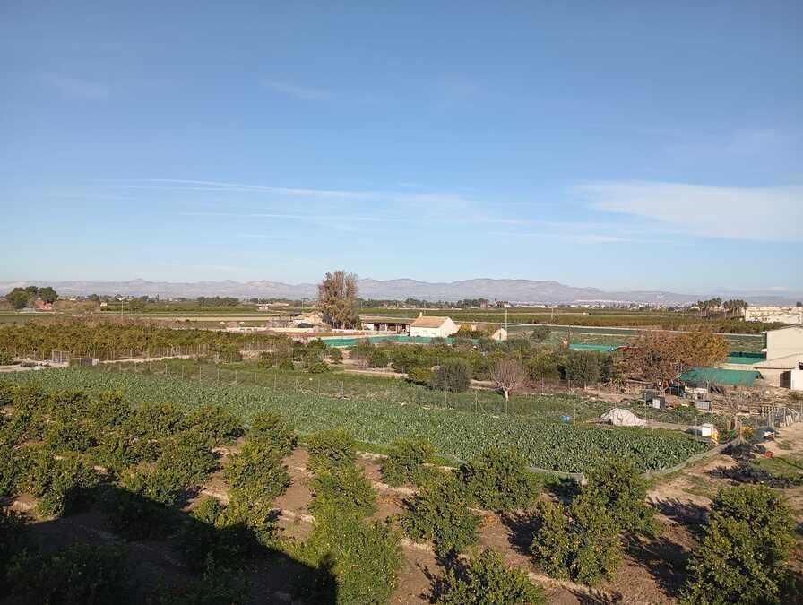 Apartment with 2 bedrooms, 2 bathrooms, roof terrace and communal swimming pool