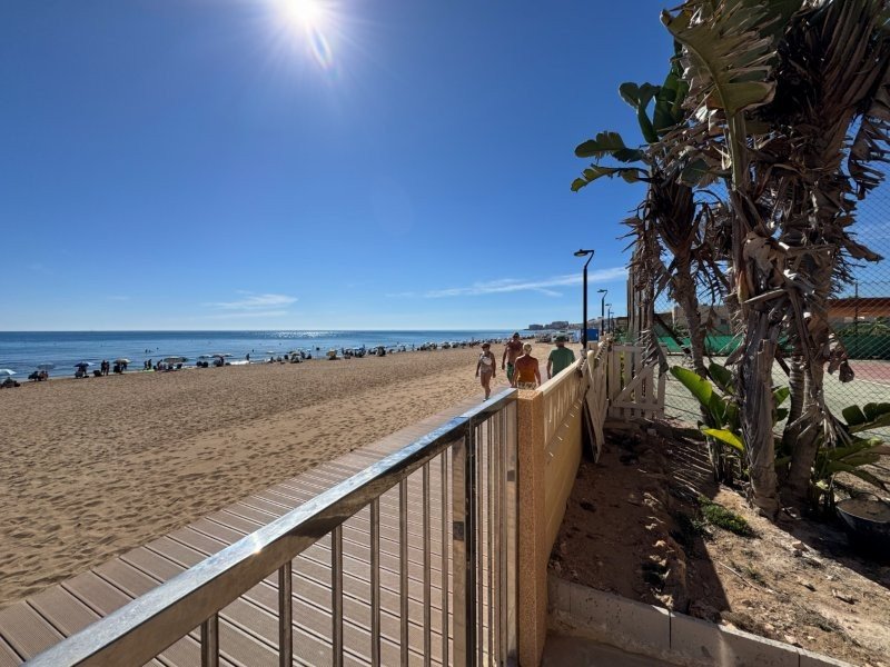 Spectacular renovated beachfront apartment with sea views in La Mata
