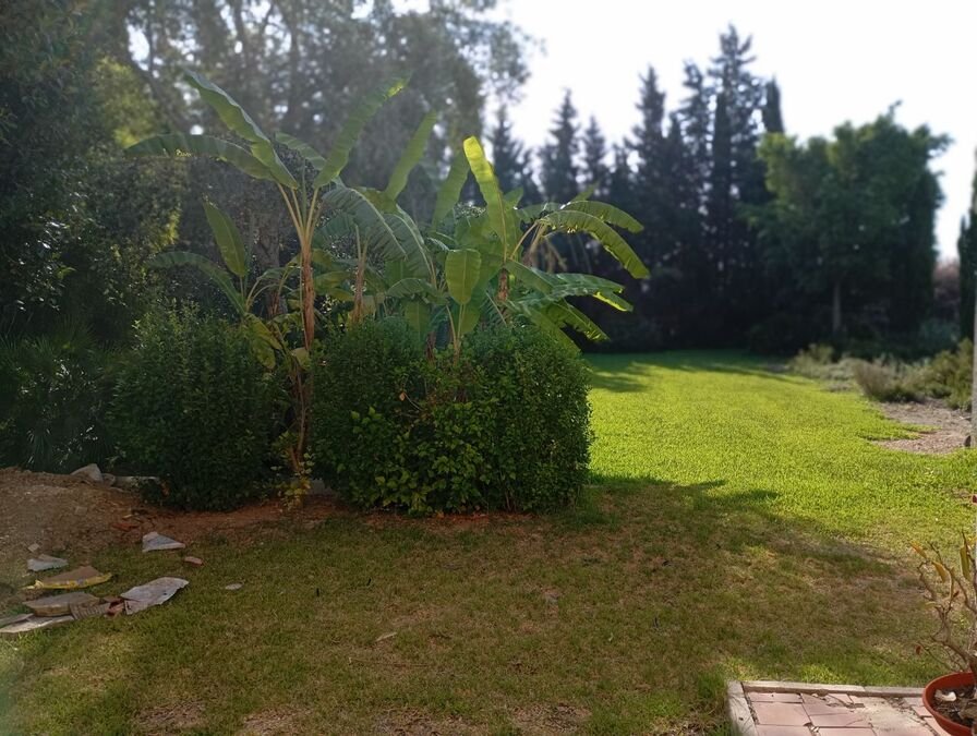 Espacioso chalet de 4 dormitorios y 3 baños con solarium