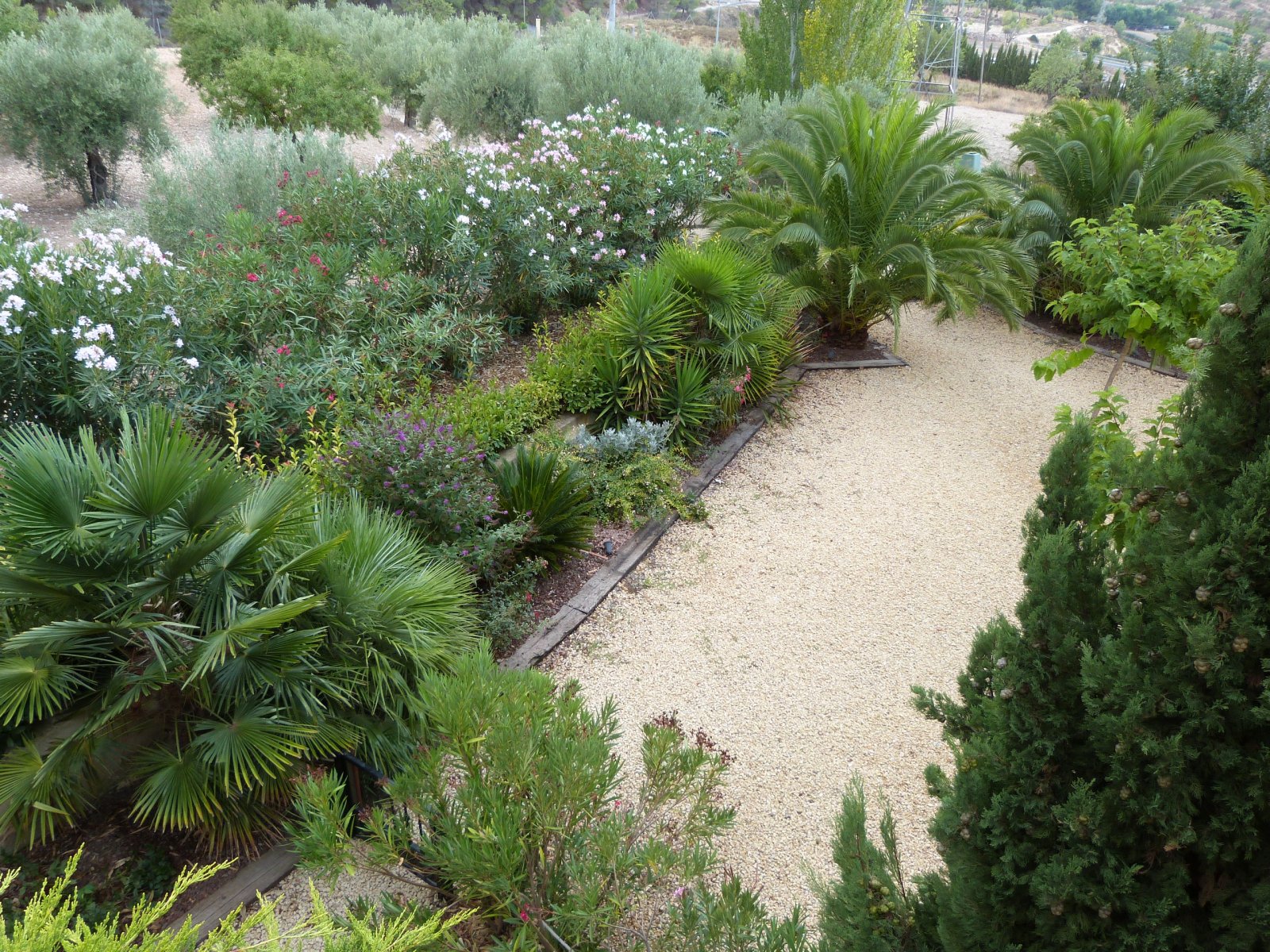  Esta magnífica casa de campo tradicional española de 15 dormitorios en Ibi (una de las quince masías en el valle del Vinalopó) está ub...