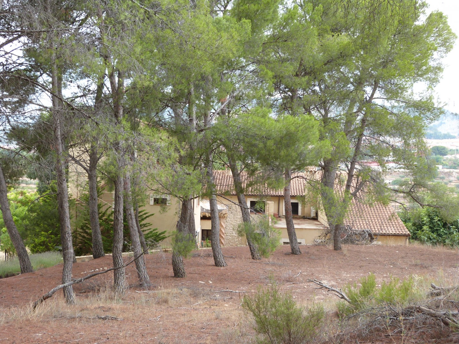  	 Esta magnífica casa de campo tradicional española de 15 dormitorios en Ibi (una de las quince masías en el valle del Vinalopó) está ub...