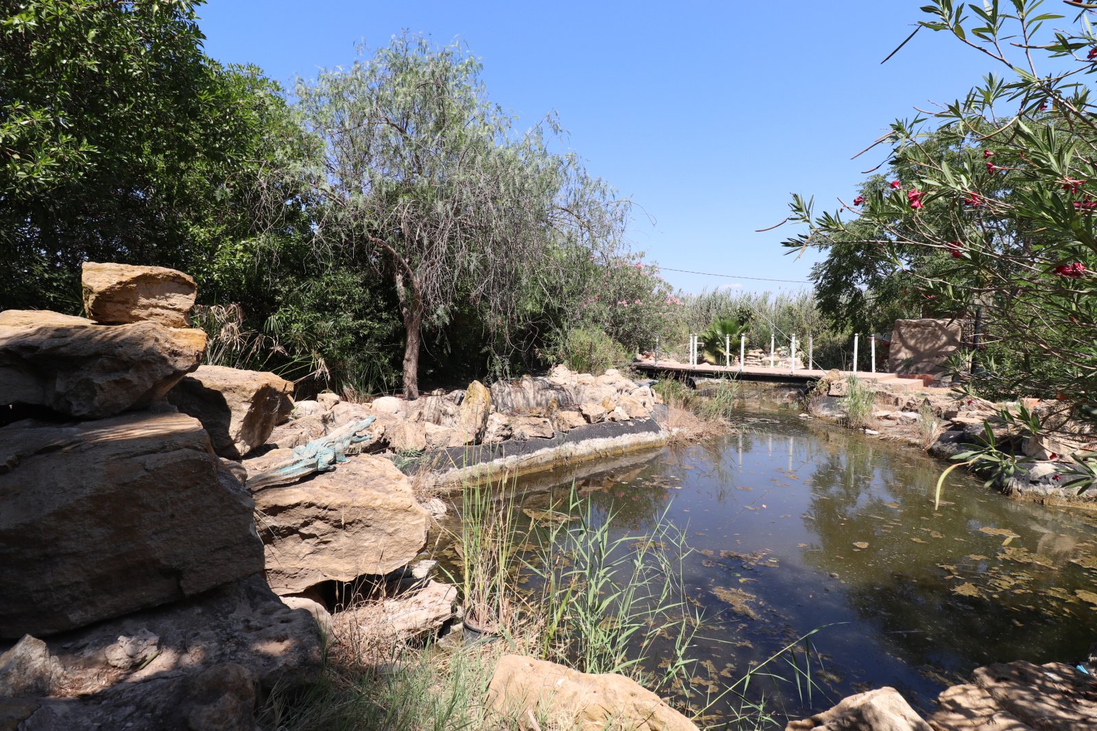 Impresionante propiedad de campo con 7 dormitorios, 5 baños, piscina privada y hermosas vistas en una gran parcela