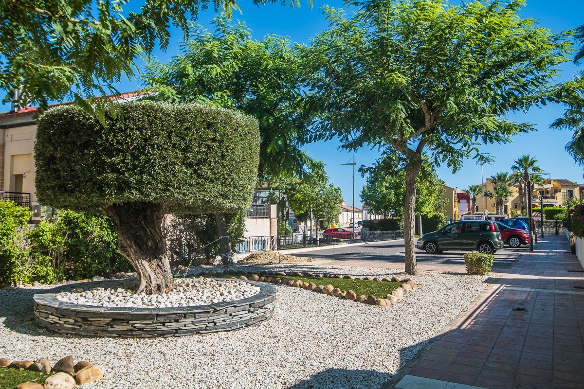 Amplia casa con piscina privada, piscina comunitaria y sótano completo en Algorfa