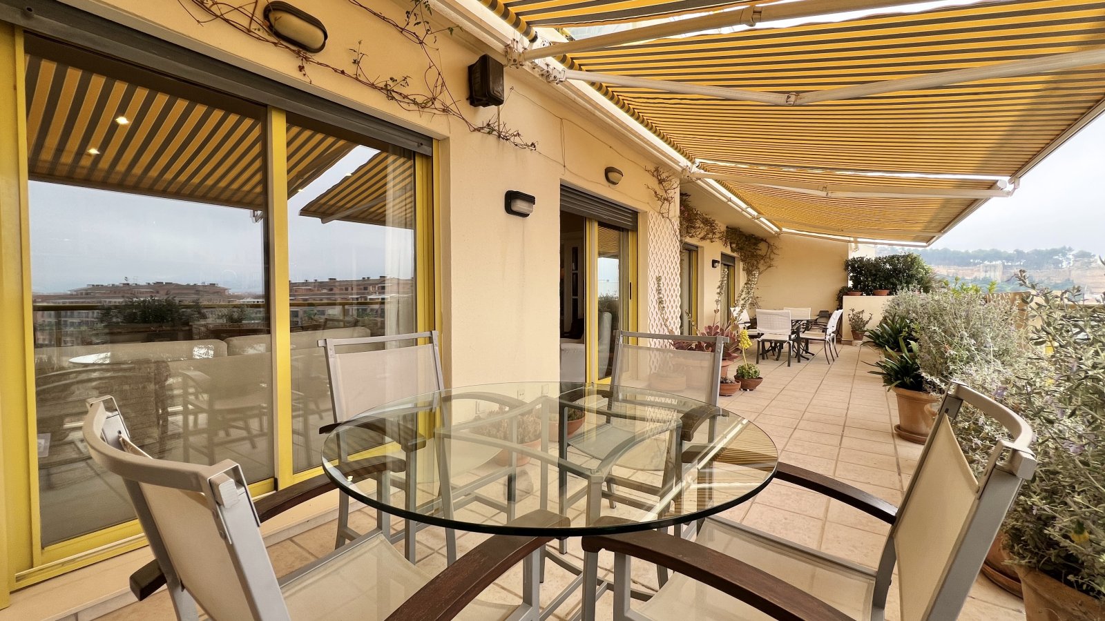 Penthouse duplex exclusif avec 4 chambres et piscine privée sur le toit-terrasse