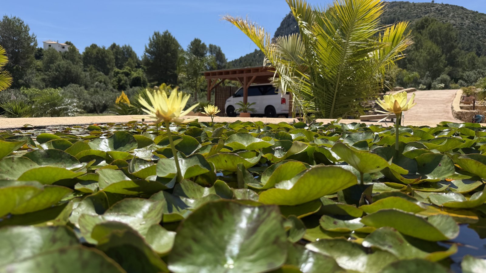 Une superbe villa avec un vaste terrain et une intimité totale, située près de Denia, Oliva et Jávea