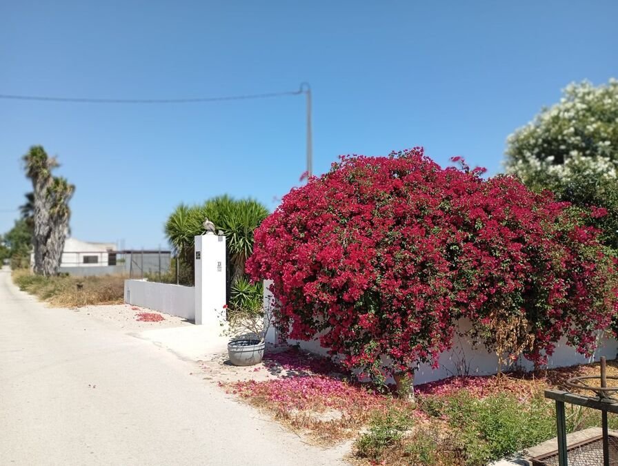 Villa avec 4 chambres, 3 salles de bains et une piscine privée, située à la périphérie de Daya Nueva