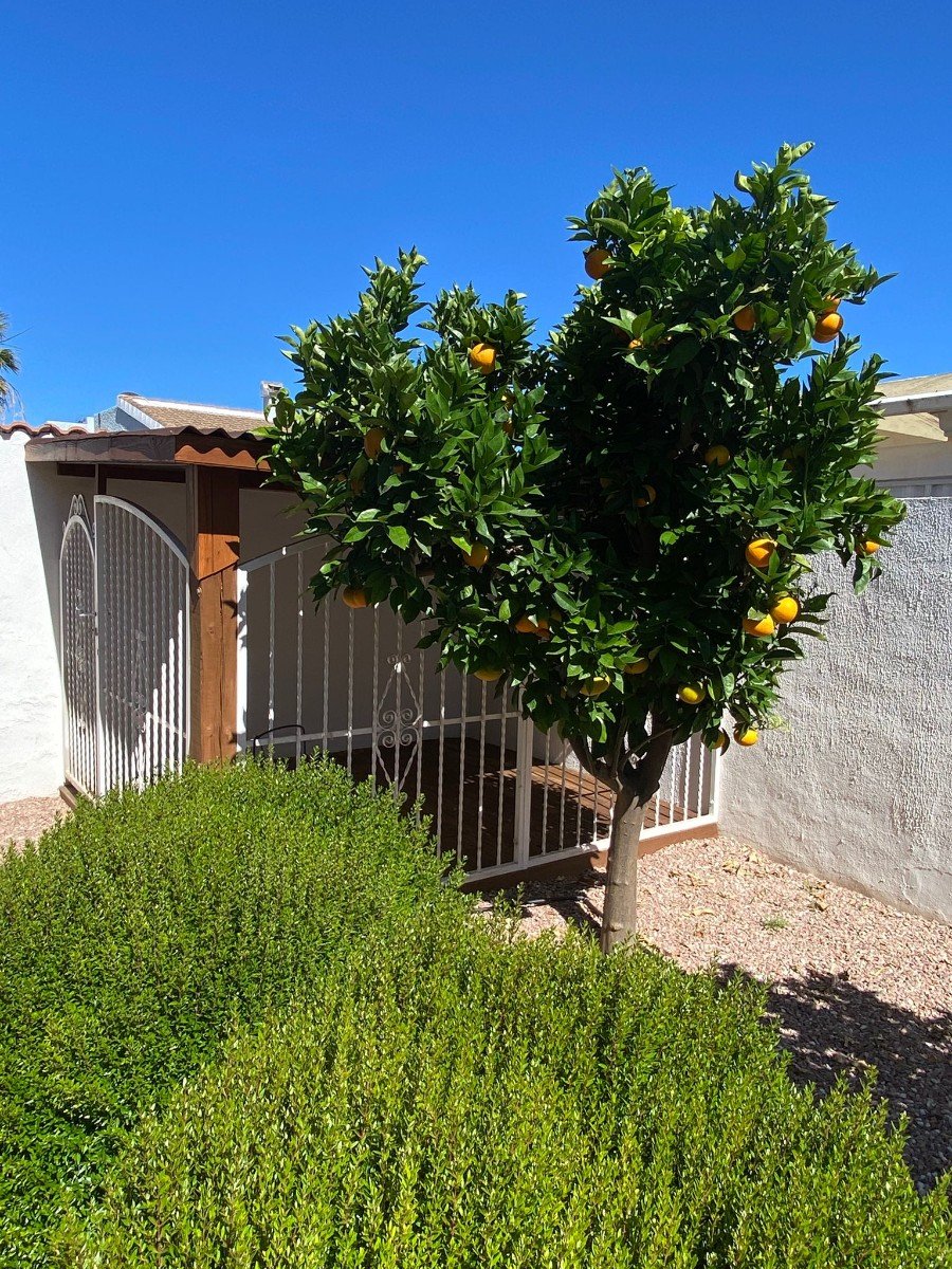 Villa individuelle avec piscine privée et terrasse sur le toit à Doña Pepa
